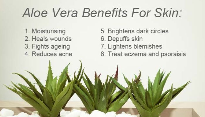 Aloe vera benefits for skin